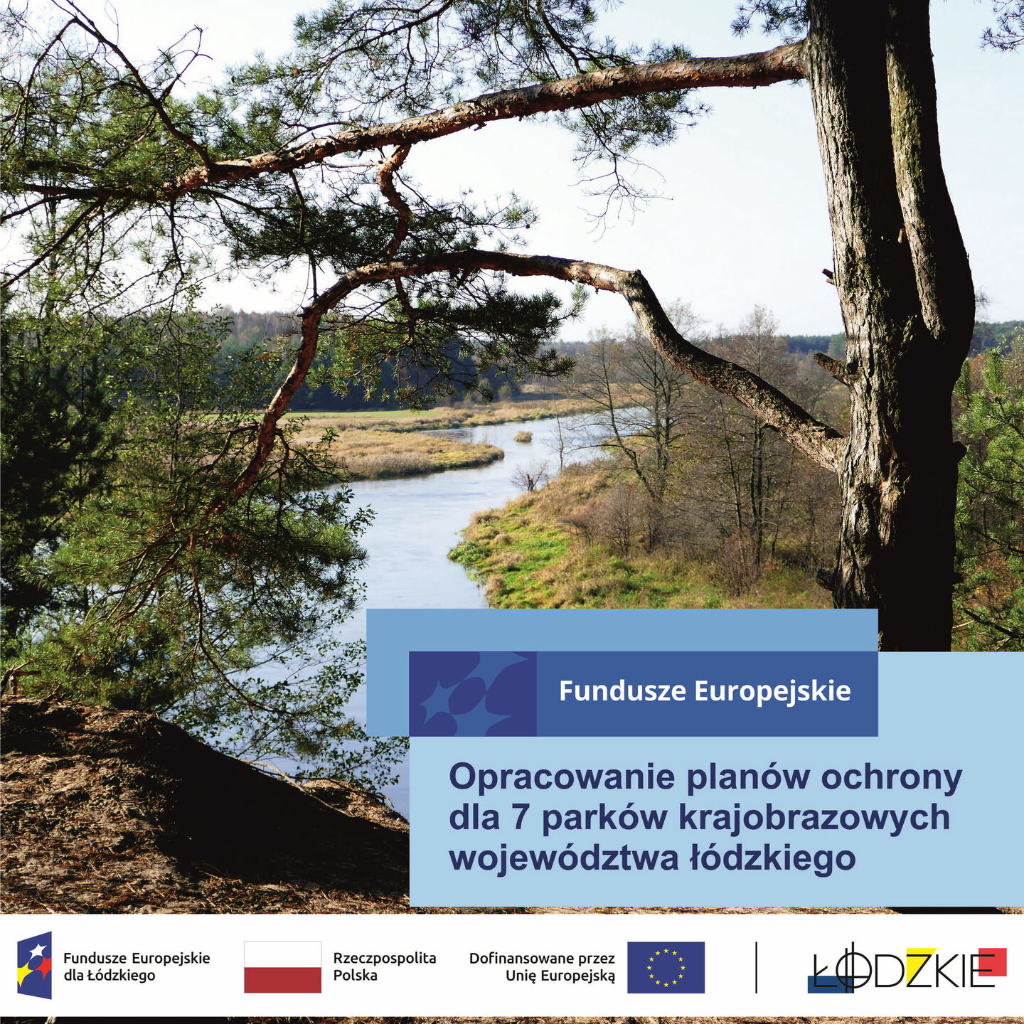 Sulejowski_Park_Krajobrazowy.jpeg