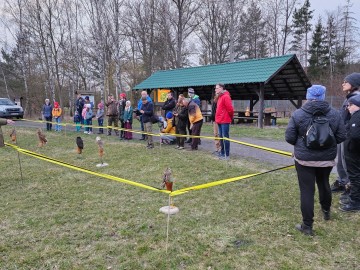 Noc sów w Moszczenicy - 2026, 