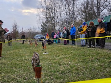 Noc sów w Moszczenicy - 2026, 