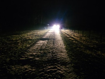 Noc sów w Moszczenicy - 2026, 