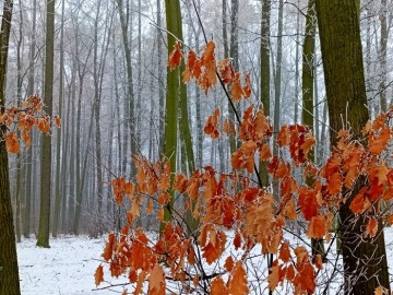 48 lat Załęczańskiego Parku Krajobrazowego, <p>Fot. M. Ignaczak</p>