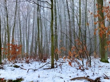 48 lat Załęczańskiego Parku Krajobrazowego, <p>Fot. M. Ignaczak</p>