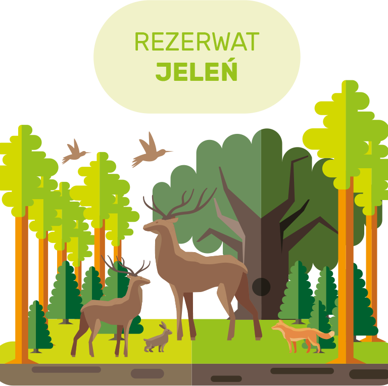 infografika npk spk